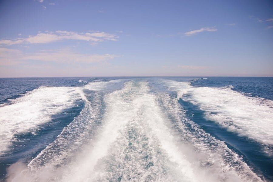 sunshine-coast-whale-swim-queensland-australia-13