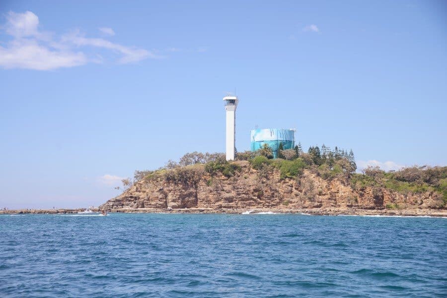 sunshine-coast-whale-swim-queensland-australia-14