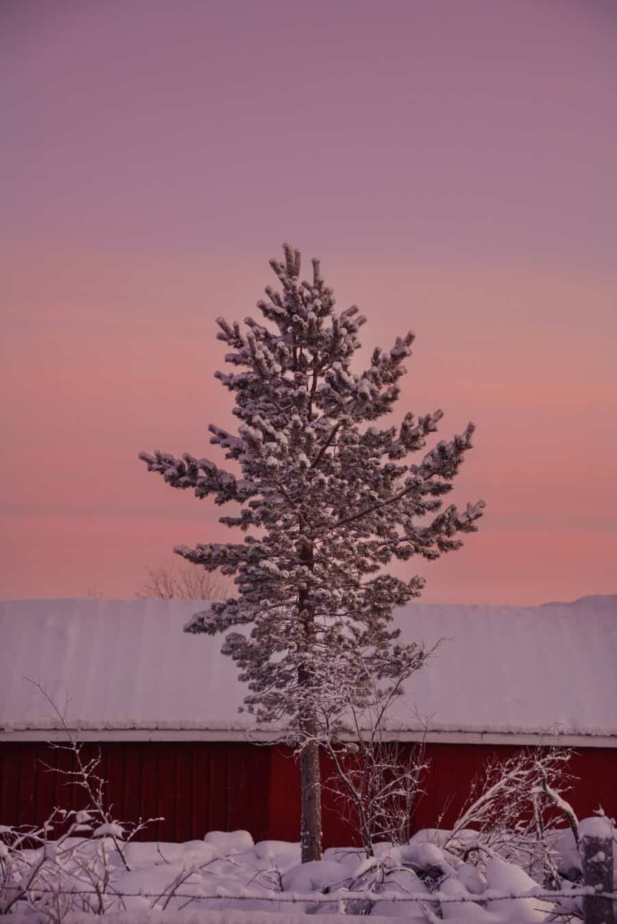 Ice Hotel Sweden by The Wandering Lens