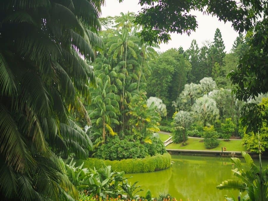 Singapore Photography Locations - Botanic Gardens by The Wandering Lens photographer Lisa Michele Burns