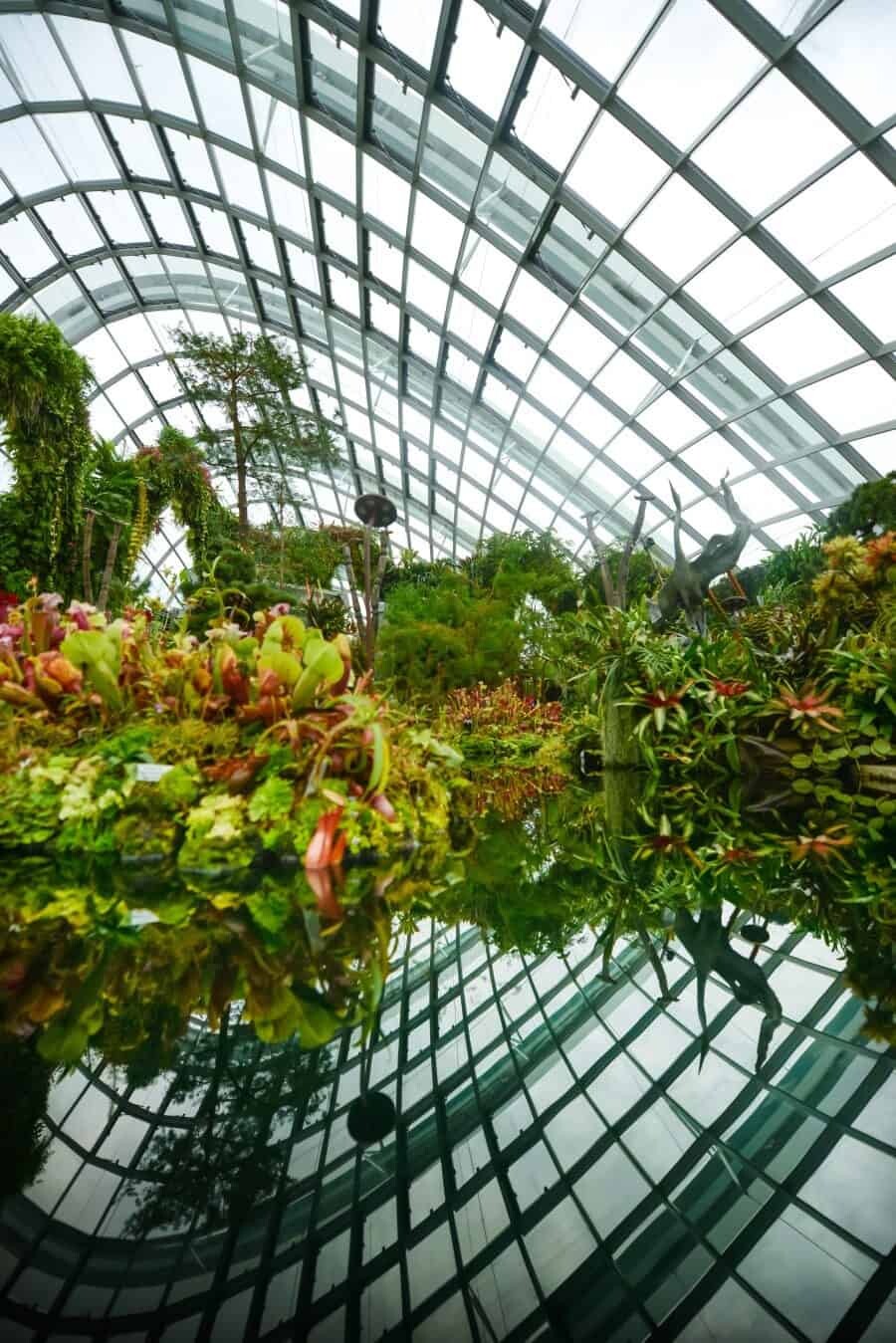 Singapore Photography Locations, Cloud Forest by The Wandering Lens photographer Lisa Michele Burns