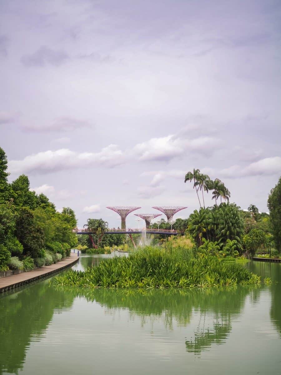 Singapore Photography Locations, Supertree Grove by The Wandering Lens photographer Lisa Michele Burns