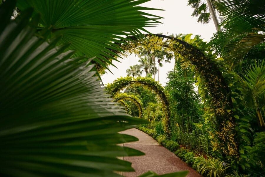 Singapore Photography Locations - Botanic Gardens by The Wandering Lens photographer Lisa Michele Burns