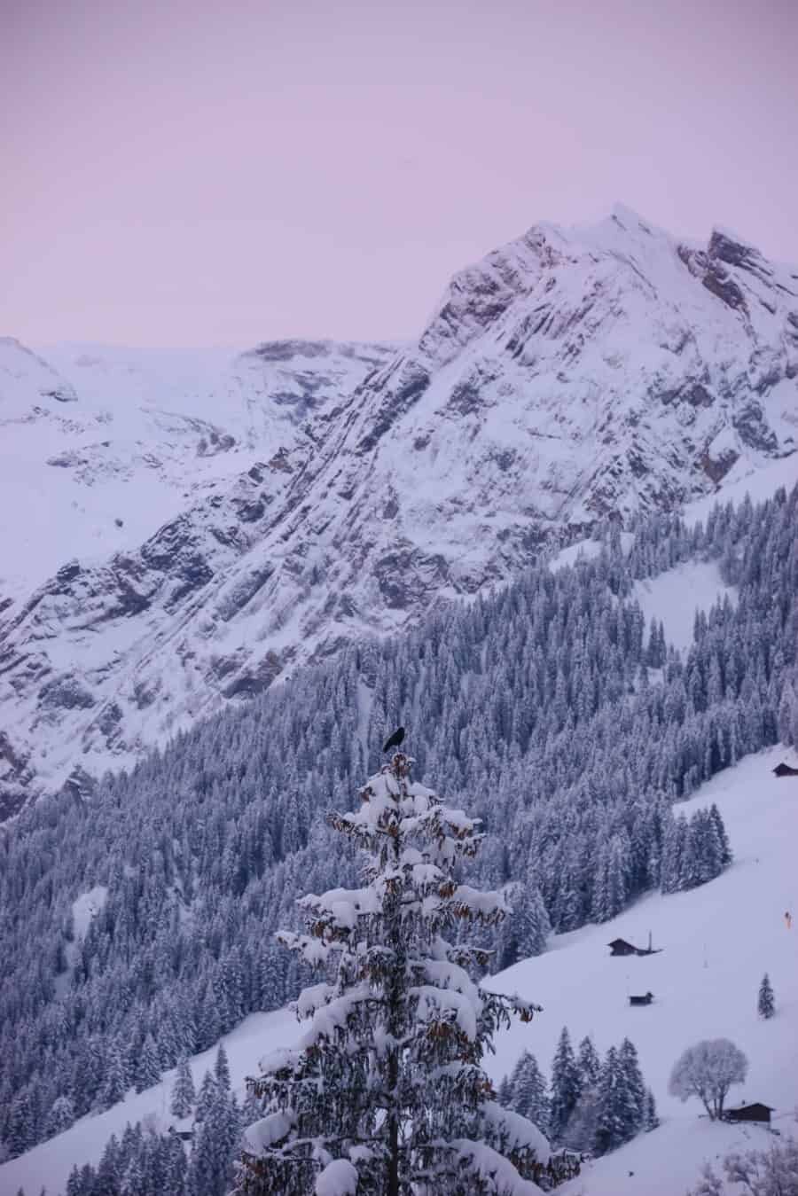 Adelboden Switzerland by The Wandering Lens (14)