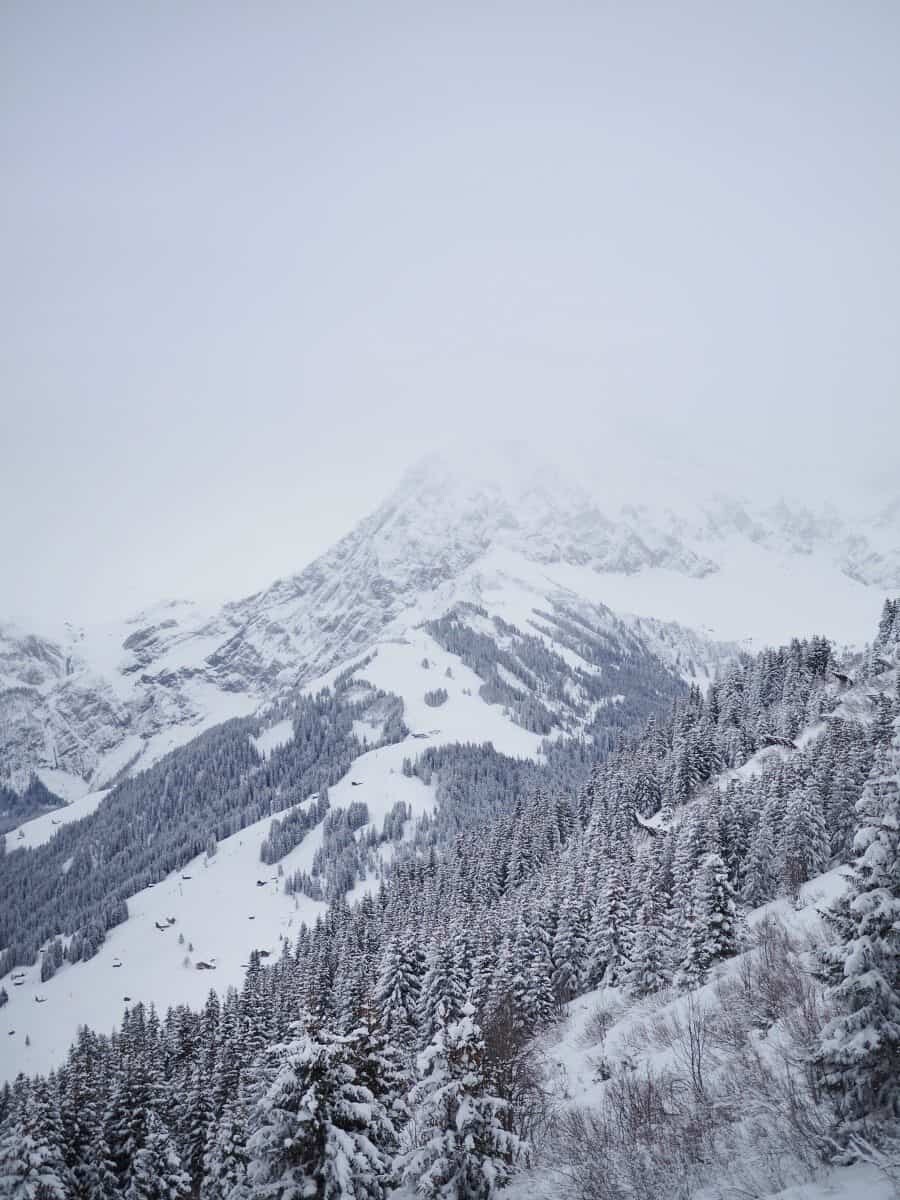 Adelboden Switzerland by The Wandering Lens (20)