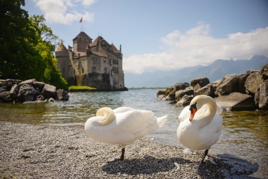 Chateau de Chillon, Switzerland Travel by The Wandering Lens 10