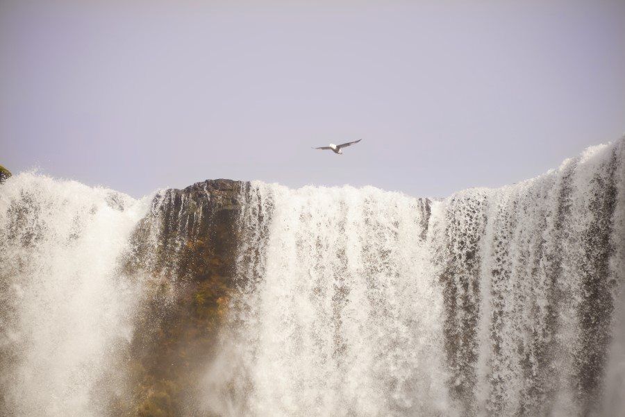 Skógafoss Waterfall Iceland