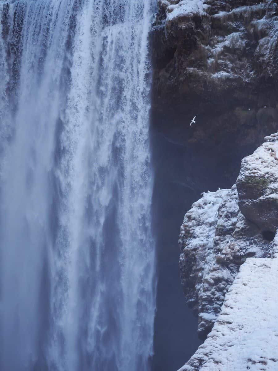 Skógafoss Waterfall Iceland