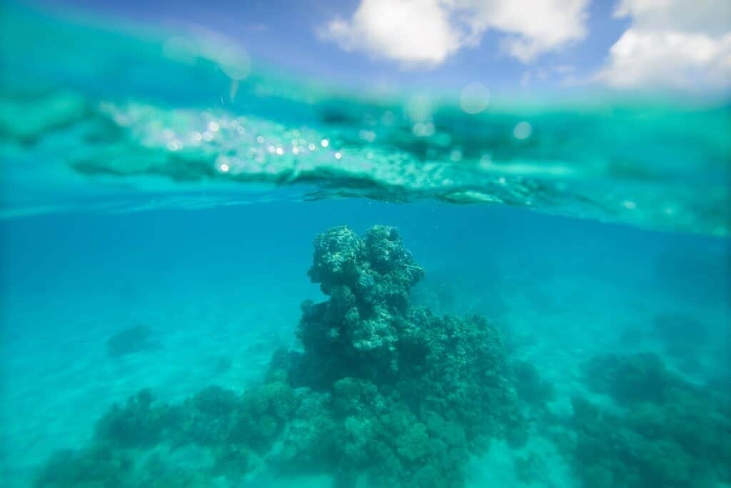 Cook Islands Photography Workshop with The Wandering Lens