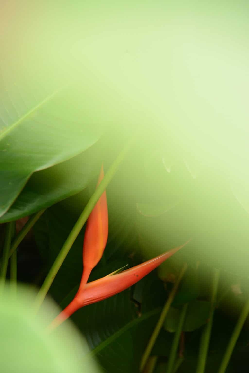 Cook Islands Photography Workshop with The Wandering Lens