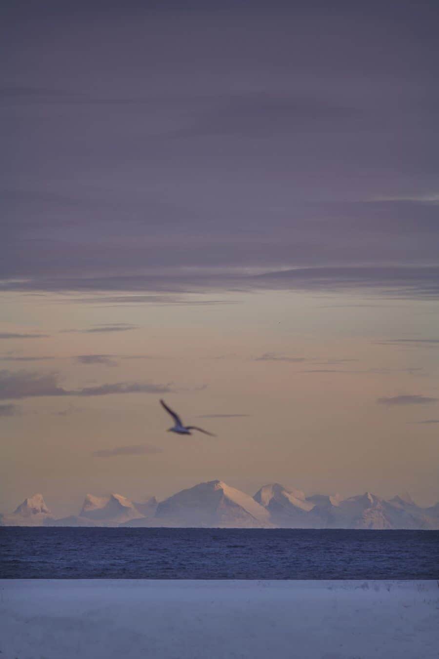 Hattvika Lodge Lofoten Islands Norway