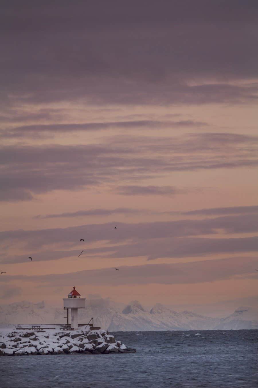 Hattvika Lodge Lofoten Islands Norway