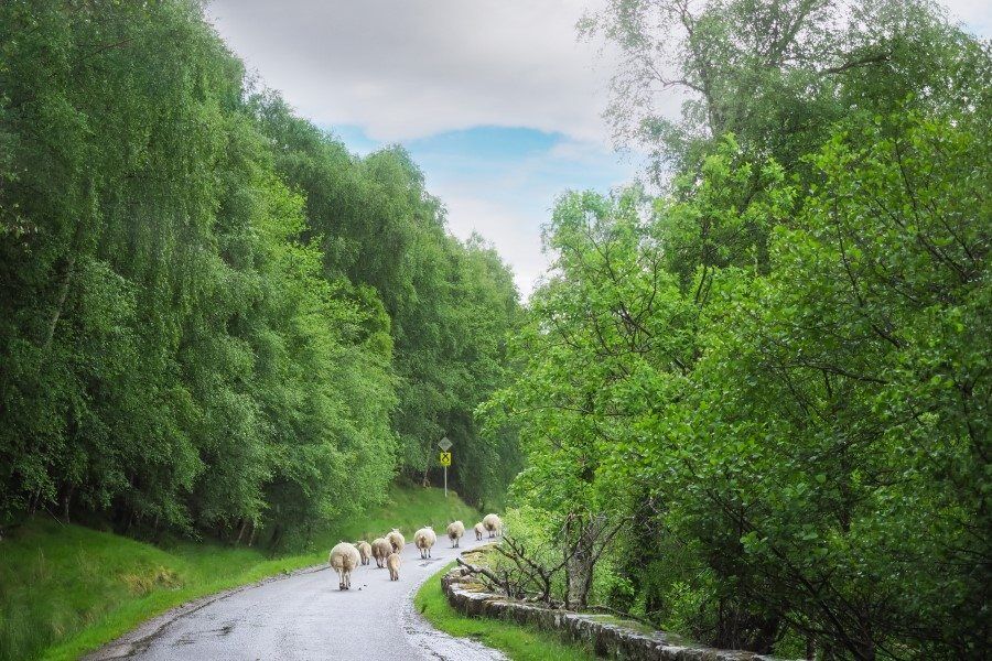 Loch Ness Photography Locations by The Wandering Lens Travel Photography 