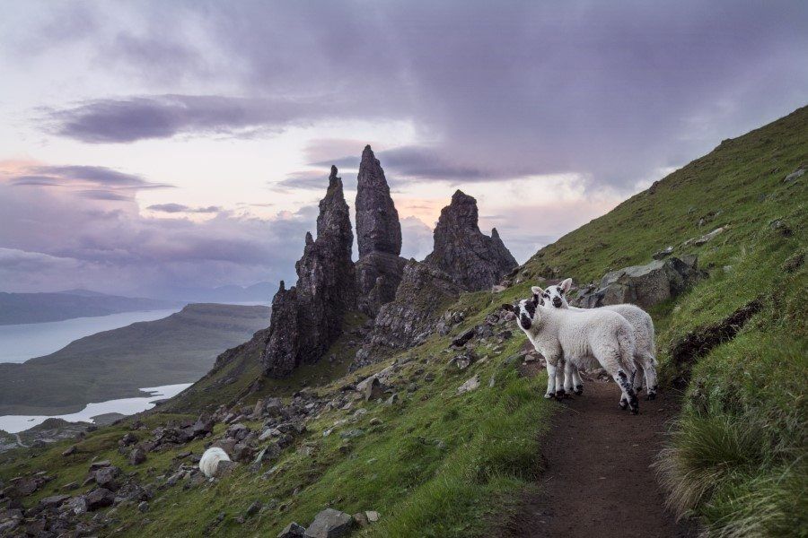 Old Man of Storr, Isle of Skye, Scotland guide by The Wandering Lens 