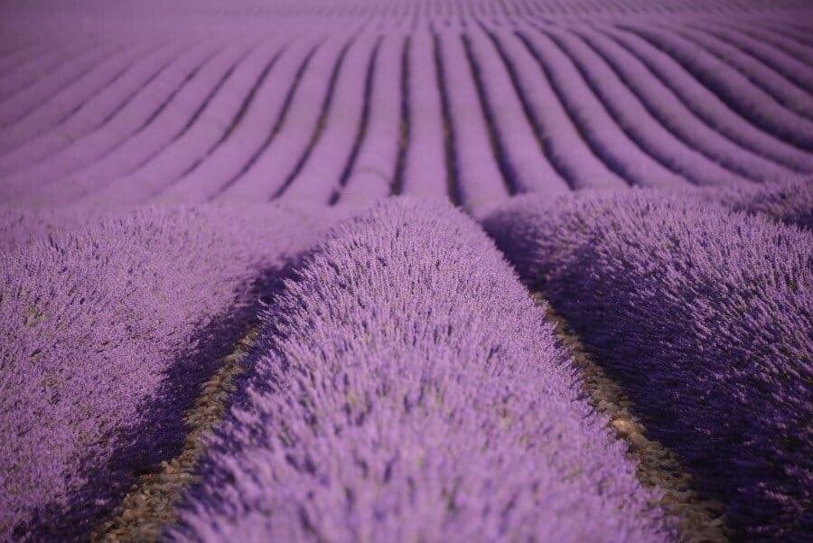 Travel in France, Natural wonders of France by The Wandering Lens Travel Photography