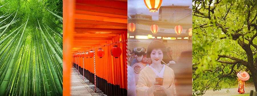 Japan Photography Tour with The Wandering Lens