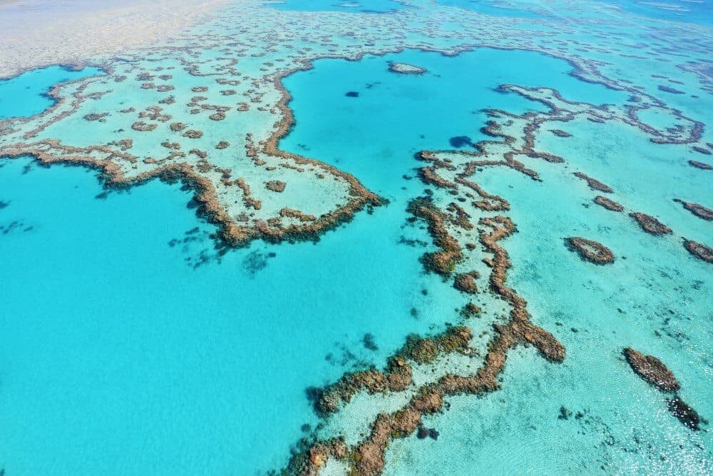 How to Photograph the Great Barrier Reef of Australia by The Wandering Lens