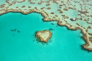 Heart Reef, Great Barrier Reef, Whitsunday Islands, Australia