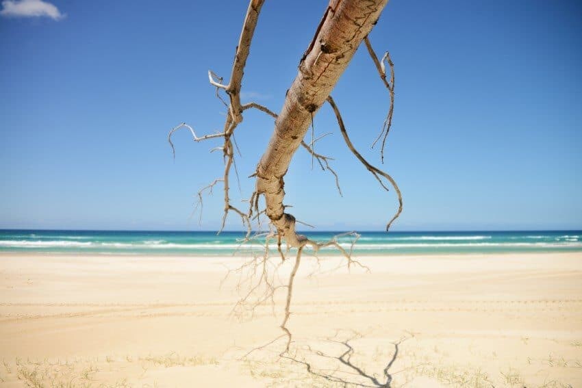 Strandfotografie