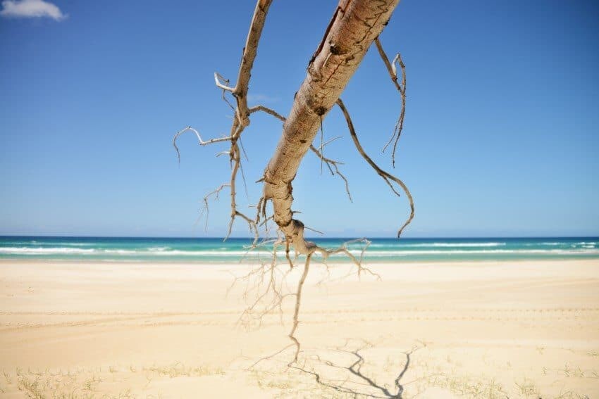 Beach Photography