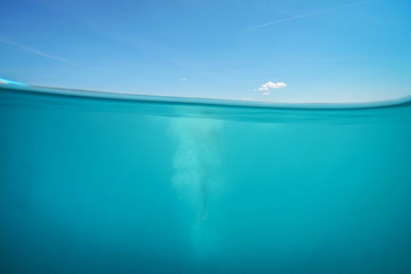 Underwater Photography - How To Take Underwater Photos via www.thewanderinglens.com