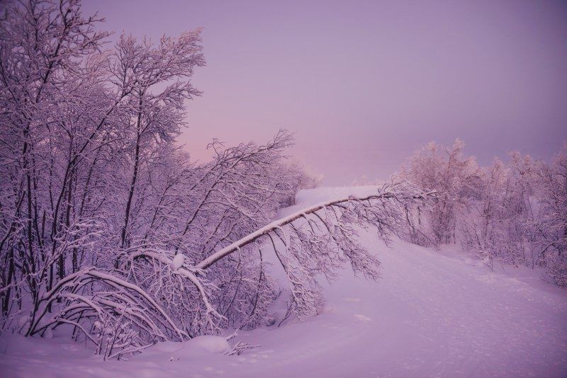 Winter Wonderland in Kiruna, Sweden by The Wandering Lens
