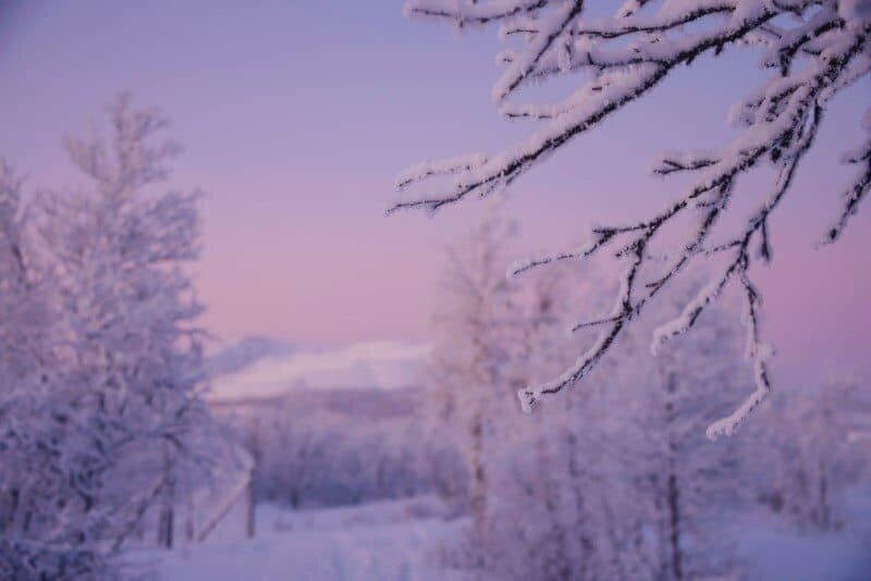 Walking in a Snow Globe in Sweden - Frozen Forests