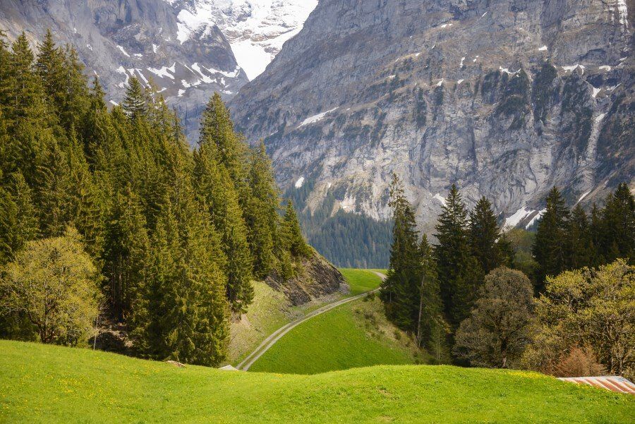 jungfrau-travel-guide-wengen-lauterbrunnen-and-grindelwald-by-the-wandering-lens-18