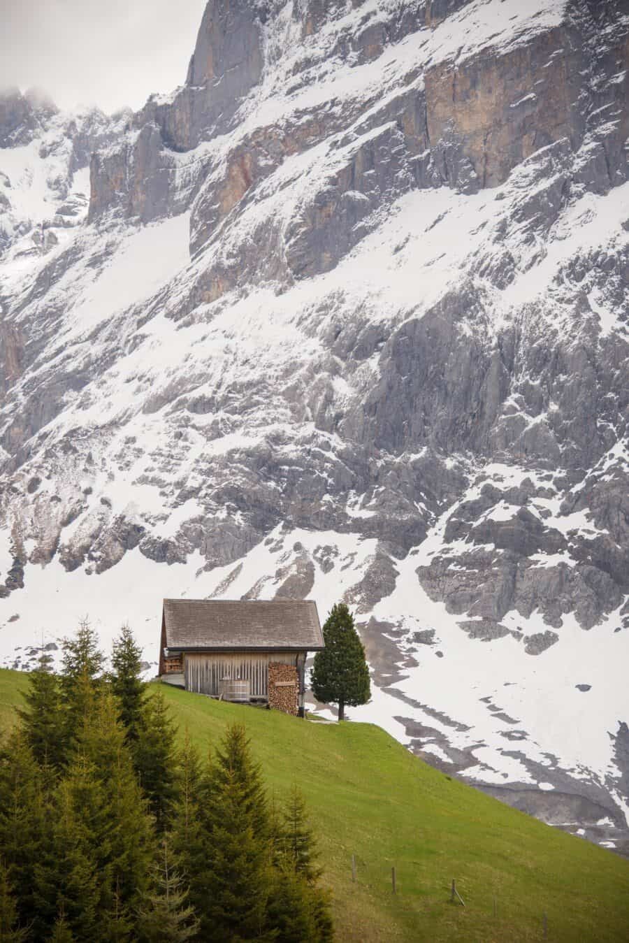 jungfrau-travel-guide-wengen-lauterbrunnen-and-grindelwald-by-the-wandering-lens-32