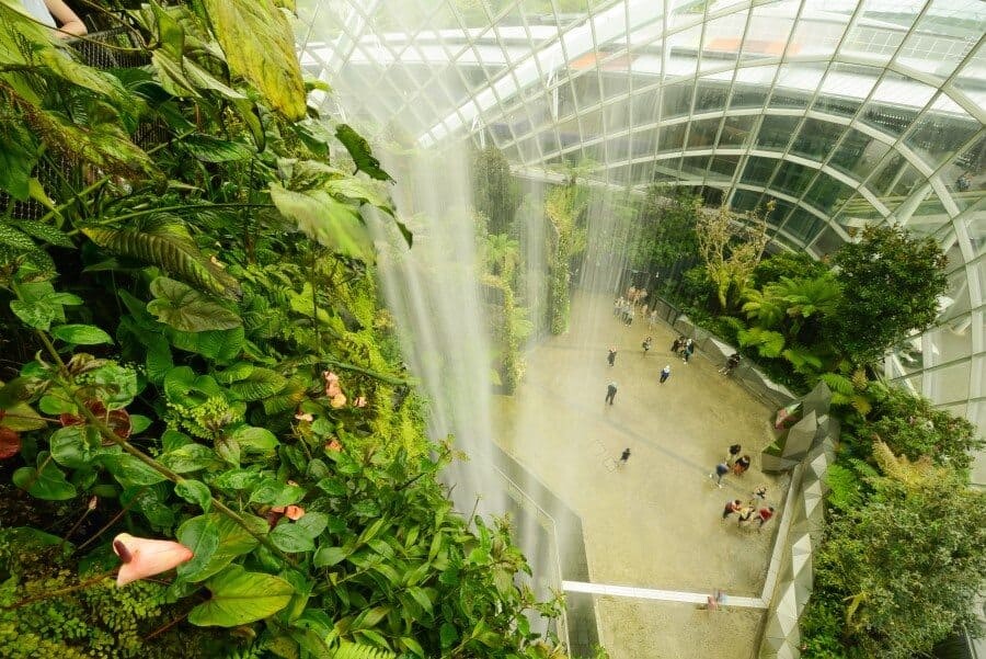 Singapore Photography Locations, Cloud Forest by The Wandering Lens photographer Lisa Michele Burns
