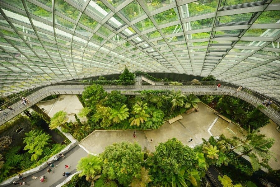 Singapore Photography Locations, Cloud Forest by The Wandering Lens photographer Lisa Michele Burns