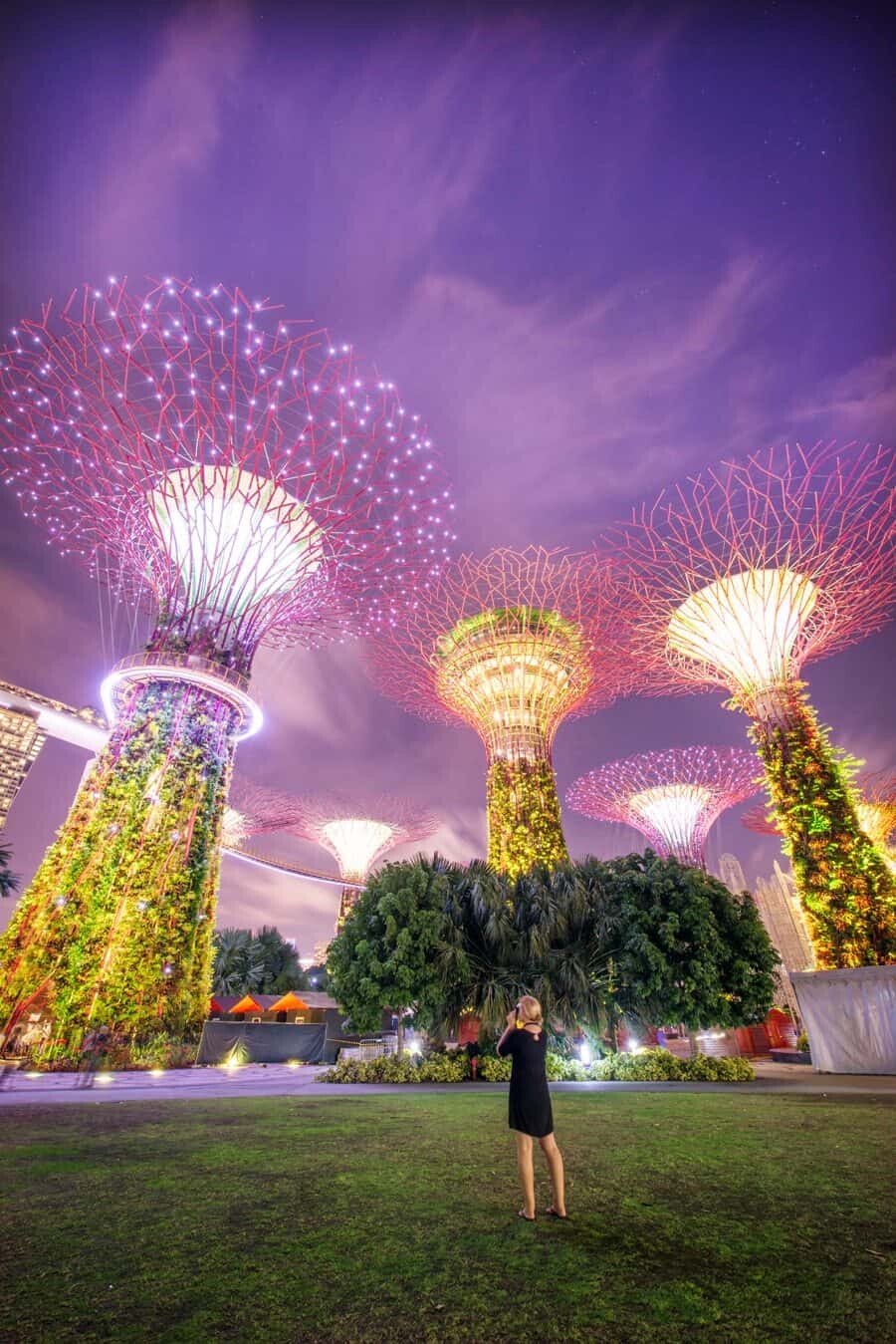 Singapore Photography Locations, Supertree Grove by The Wandering Lens photographer Lisa Michele Burns