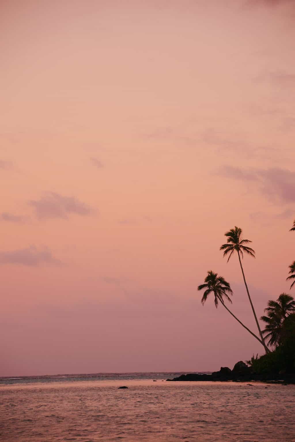 Underwater photography workshop in the Cook Islands