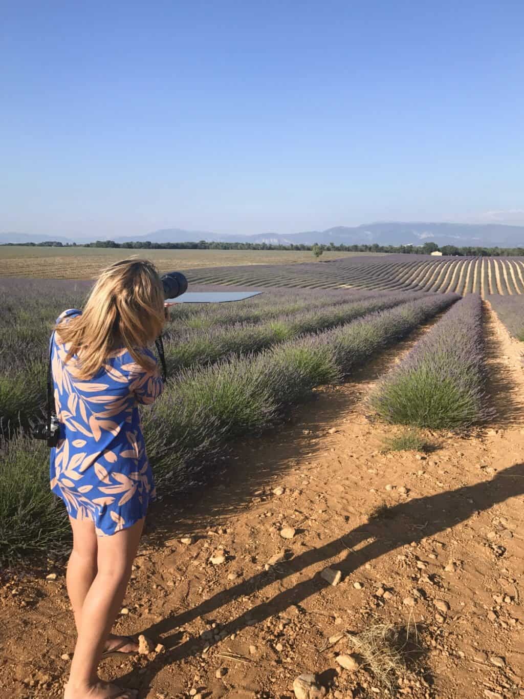 Photographing the lavender fields of Provence