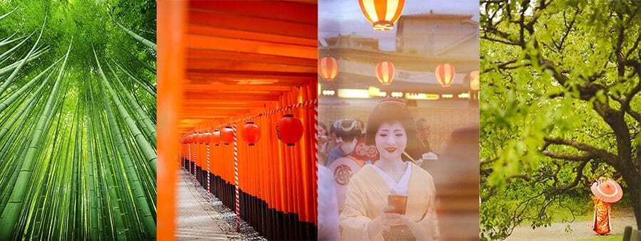 Japan Photography Tour with The Wandering Lens