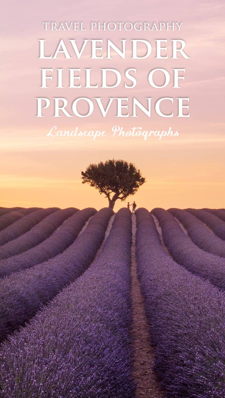 Lavender Fields in Provence France a collection of photos by The Wandering Lens