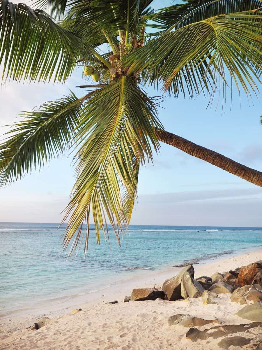 Photographing in the Cook Islands with Olympus