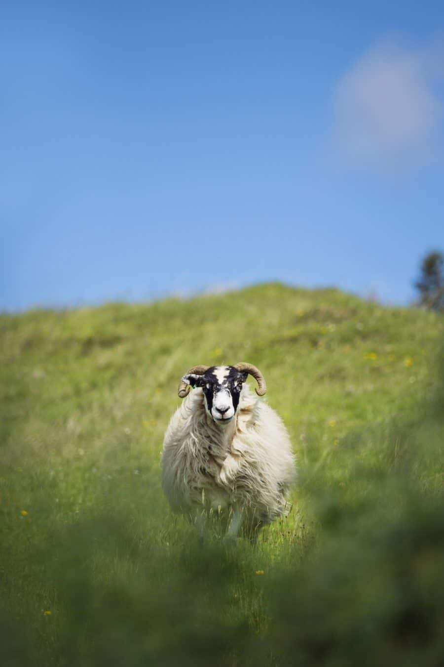 Isle of Skye Scotland Photography Locations by The Wandering Lens