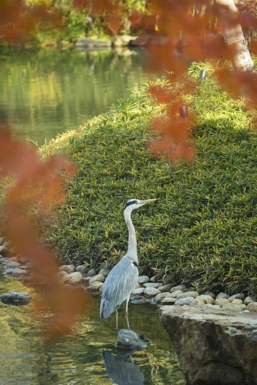 Four Seasons Kyoto, Japan Visual Hotel Review