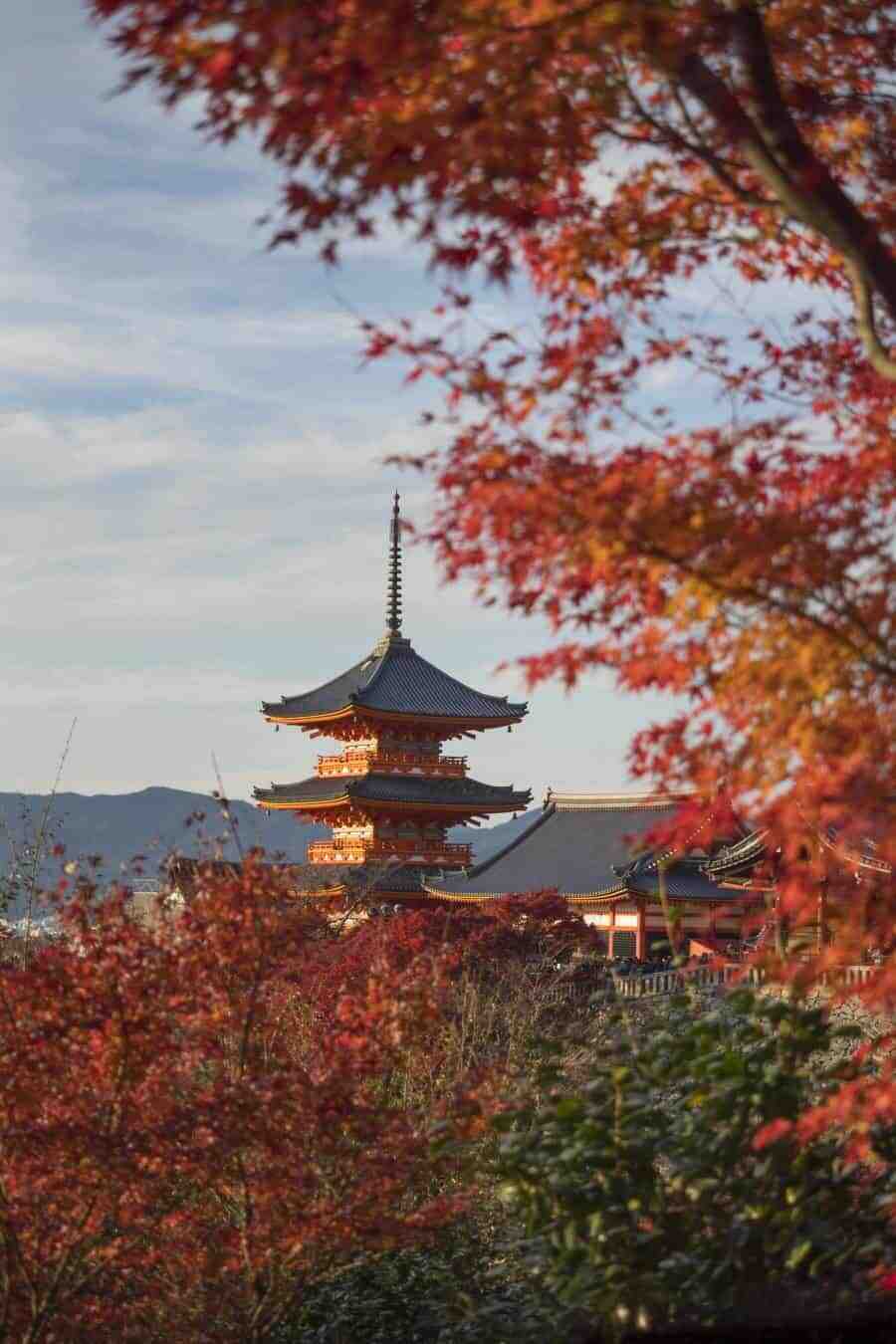 Four Seasons Kyoto, Japan Visual Hotel Review