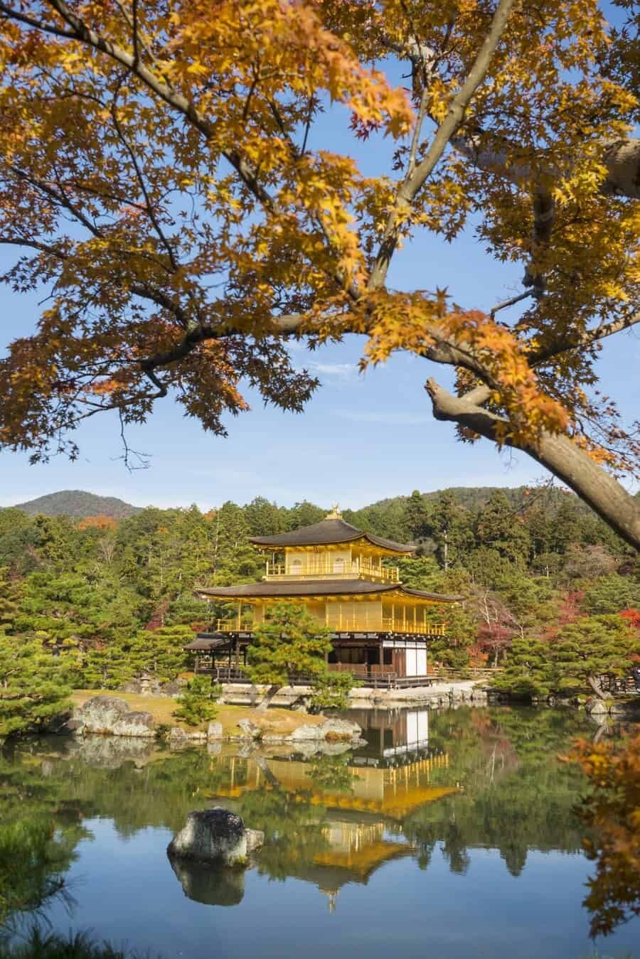 Japan Autumn Travel, Photography spots for autumn foliage in Kyoto and Tokyo