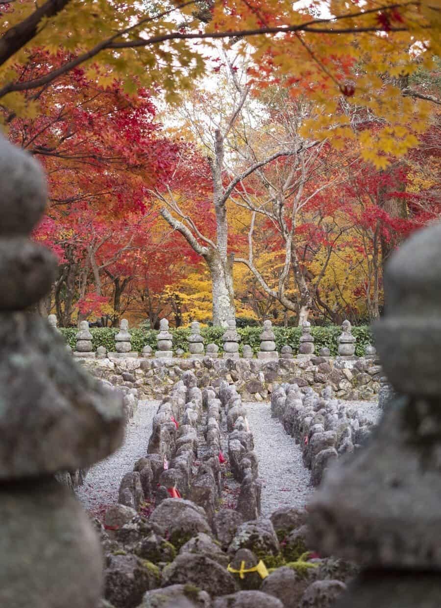 Japan Autumn Travel, Photography spots for autumn foliage in Kyoto and Tokyo