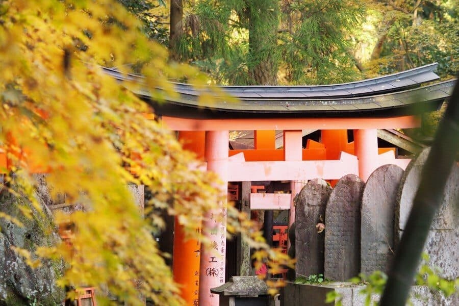 Japan Autumn Travel, Photography spots for autumn foliage in Kyoto and Tokyo