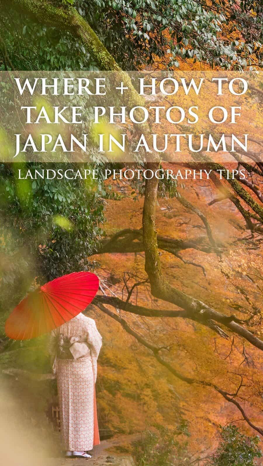 Japan Autumn Travel, Photography spots for autumn foliage in Kyoto and Tokyo