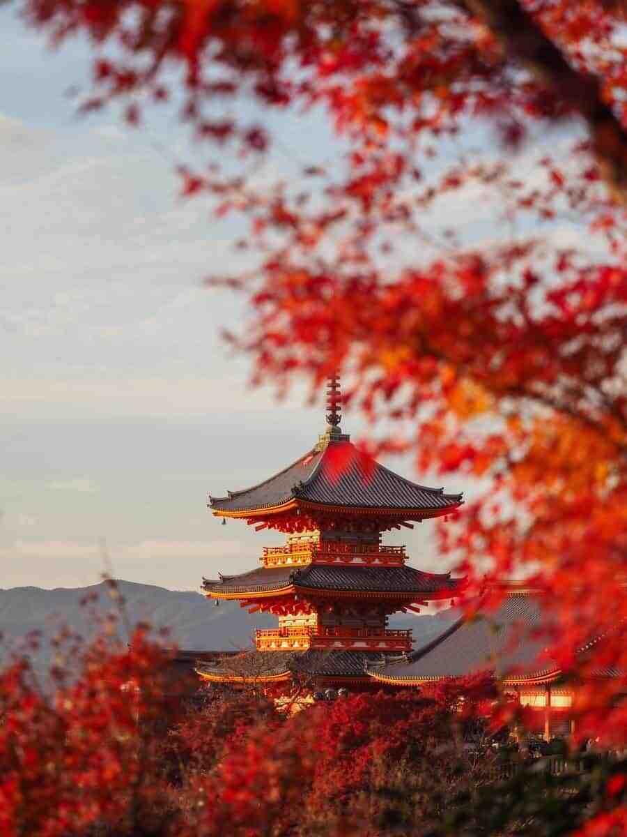 Japan Autumn Travel, Photography spots for autumn foliage in Kyoto and Tokyo