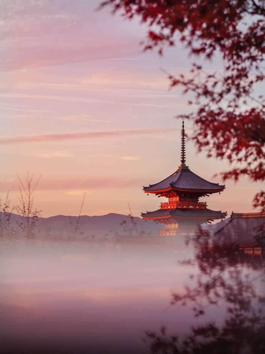 Japan Autumn Travel, Photography spots for autumn foliage in Kyoto and Tokyo