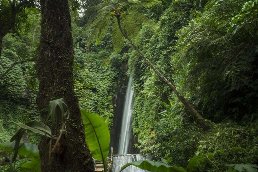 Munduk Waterfall, Bali, Indonesia
