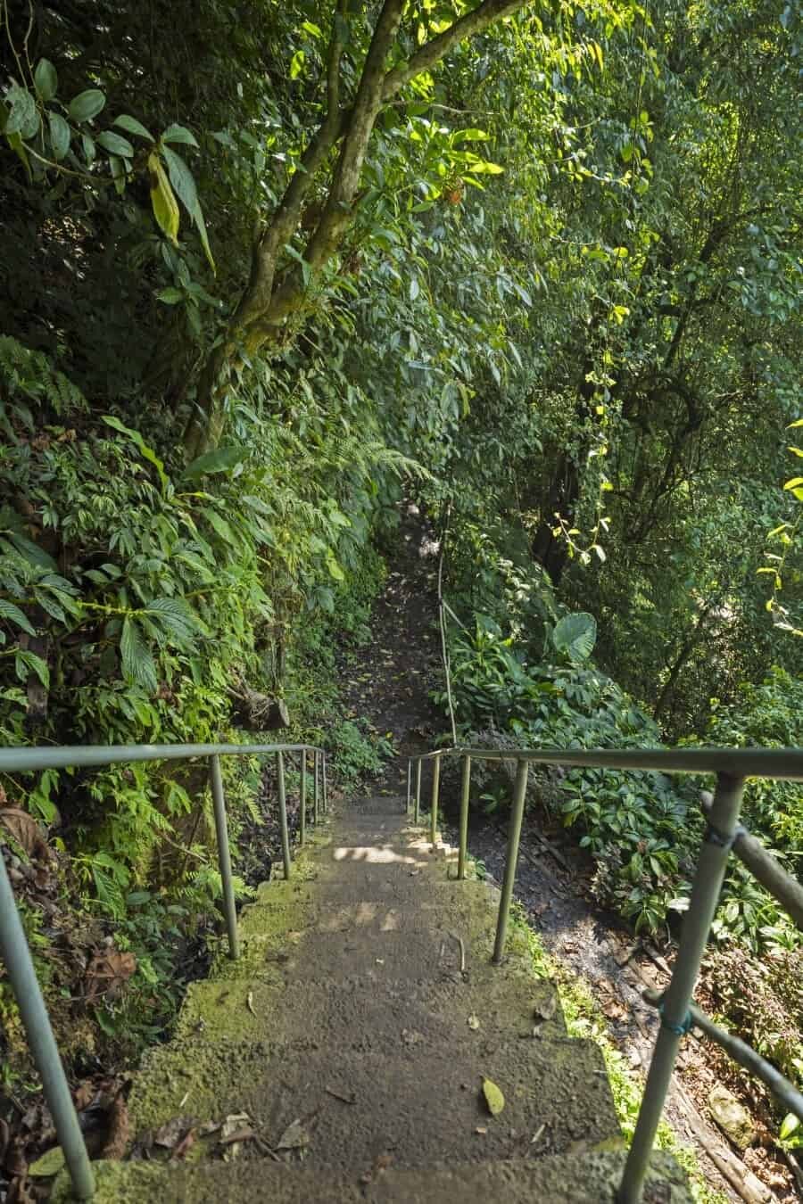 Banyumala Twin Waterfalls, Bali, Indonesia