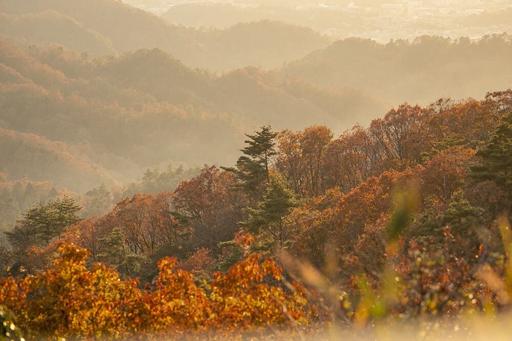 Hoshino Resorts Kyoto