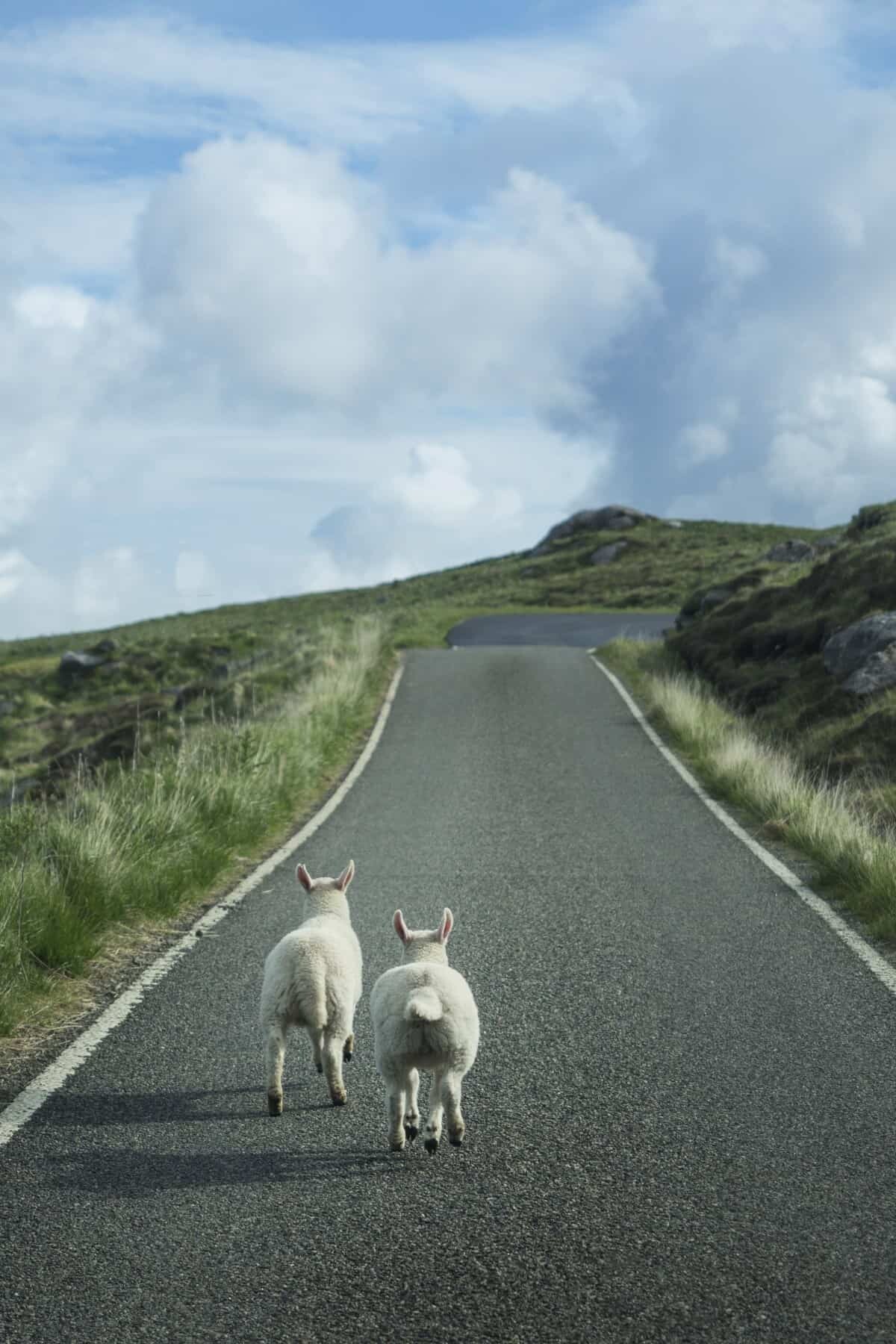 Isle of Lewis and Harris, Scotland travel photos